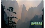 張家界國(guó)家森林公園、寶峰湖/黃龍洞、鳳凰古城、三峽八日游